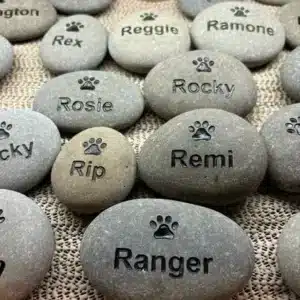 Pet Rocks