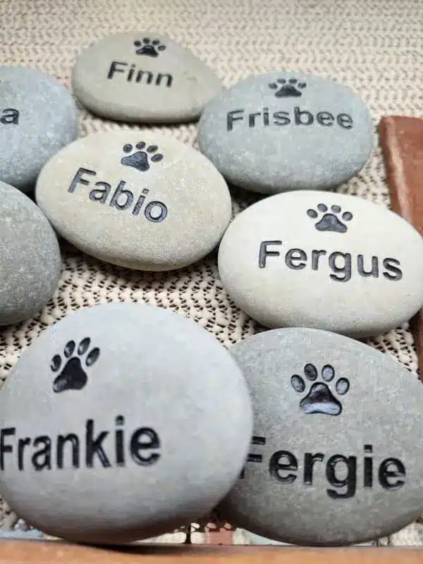 Pet Rocks - Image 2